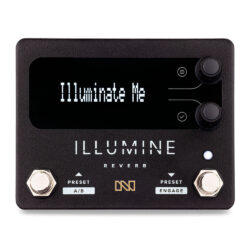 Neunaber Illumine Stereo Reverb
